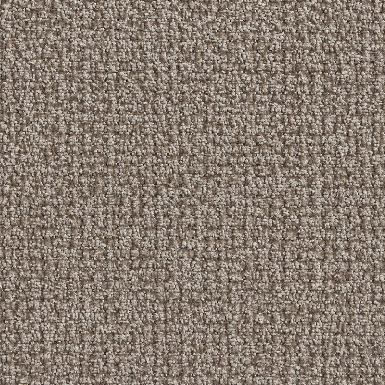 Set Of 2 Small OREN Mole Chenille Velvet Armchairs - Image 4